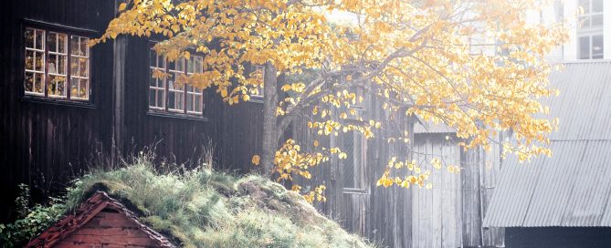Restaureringshandverkar – kulturvernforvaltar. Ledig Stilling